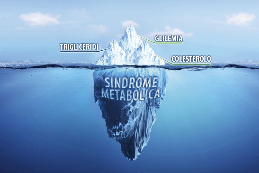 El síndrome metabólico, un problema de salud oculto que es importante sacar a la luz - Apoteca Natura