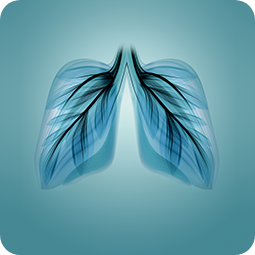 Servicios de Prevención Vías respiratorias - Apoteca Natura