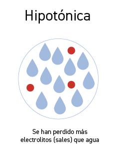 Deshidratación hipotónica  - Apoteca Natura